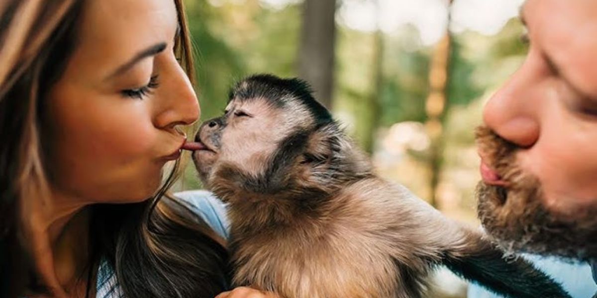 Gaitlyn Rae black-capped capuchin monkey social media star 2025